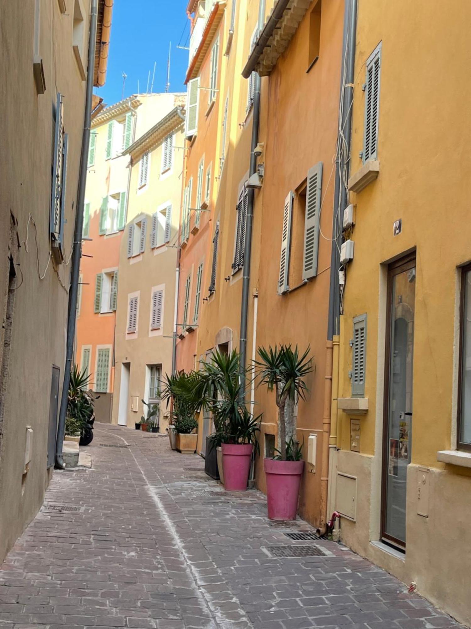Le Palmae, Serenite Et Charme En Coeur De Ville Hyères المظهر الخارجي الصورة