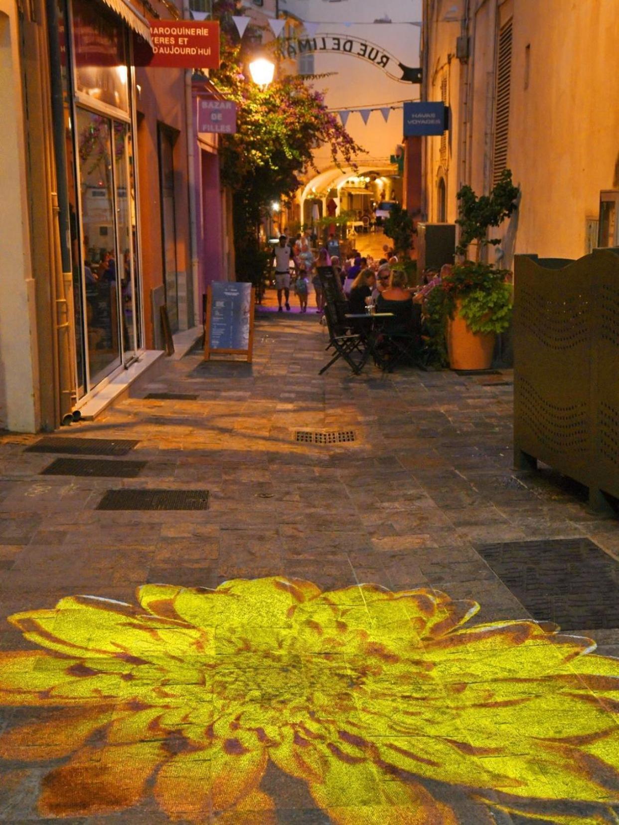 Le Palmae, Serenite Et Charme En Coeur De Ville Hyères المظهر الخارجي الصورة