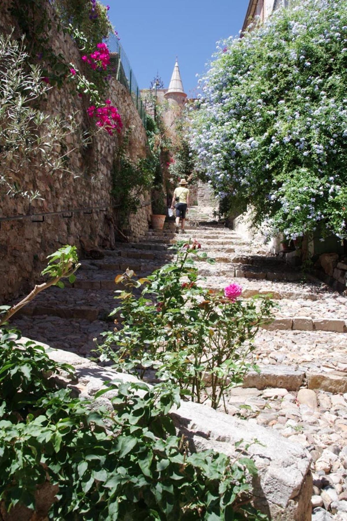 Le Palmae, Serenite Et Charme En Coeur De Ville Hyères المظهر الخارجي الصورة